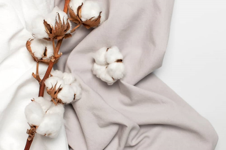 Cotton là loại vải có nguồn gốc từ sợi bông tự nhiên
